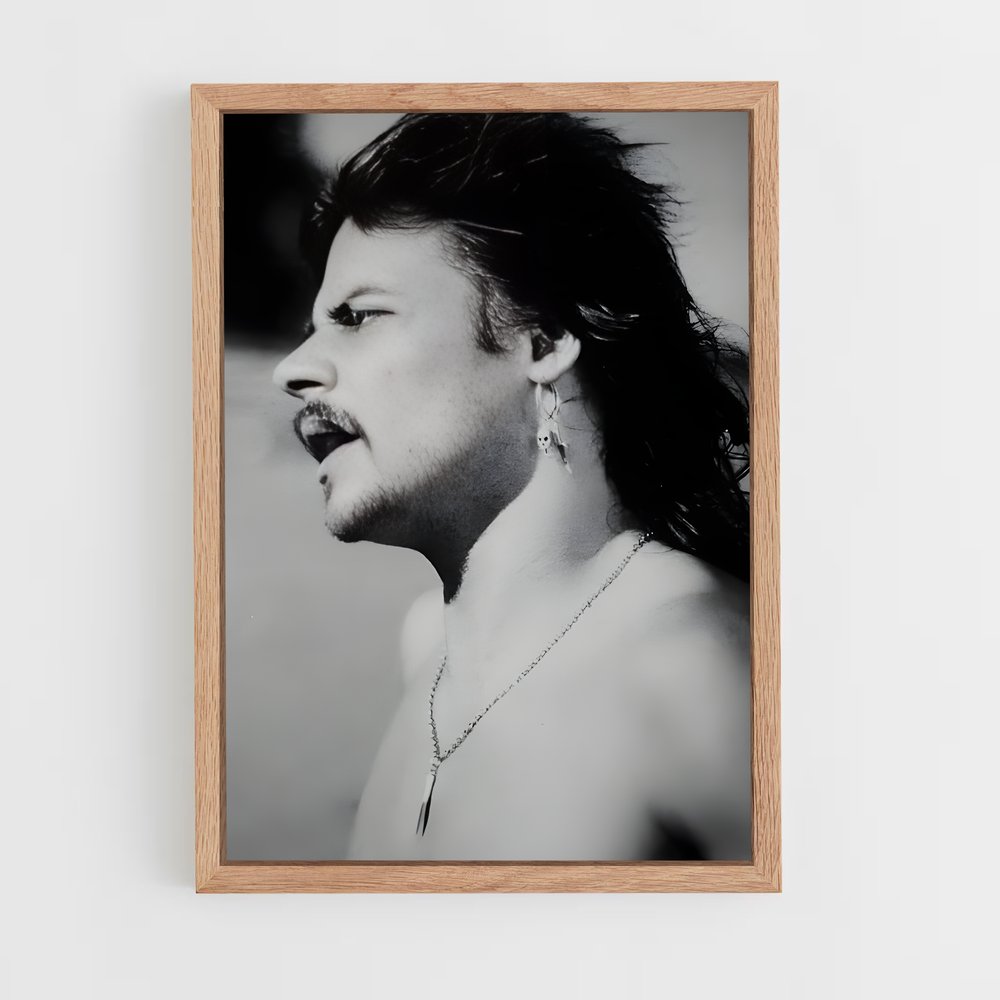 Poster Phil taylor nouvelle – affiche Fléchettes (vue 4)